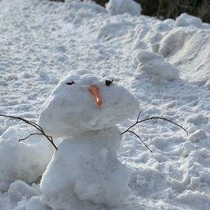 Meet your Posher, Fifi